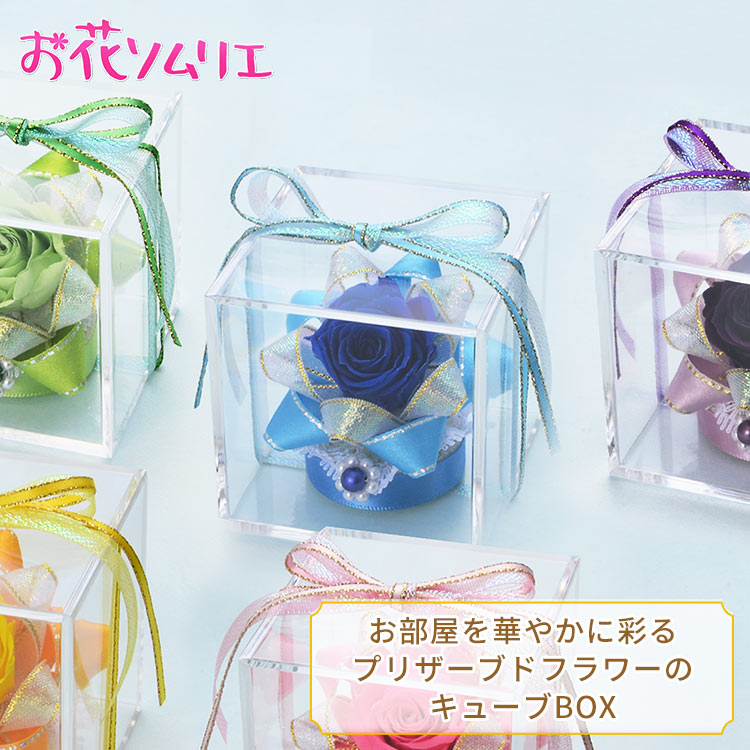 お花ソムリエ 父の日キューブ(メッセージカード付)