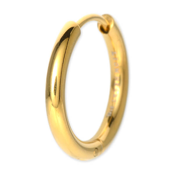 LION HEART ステンレスピアス(片耳用)