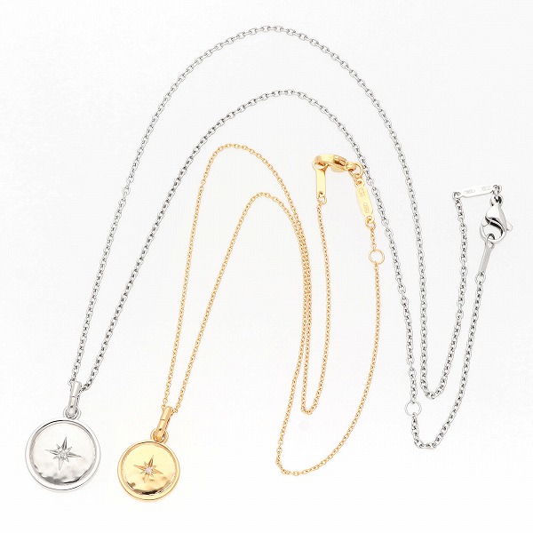 ステンレスペアネックレス