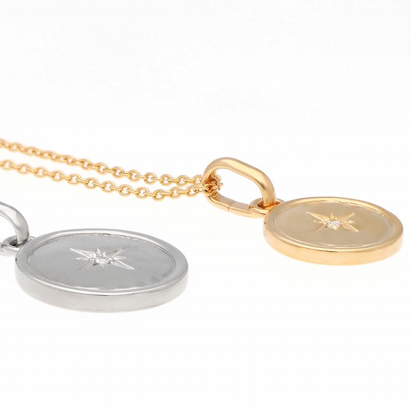 ステンレスペアネックレス