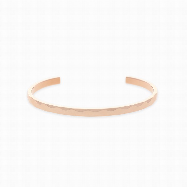 LION HEART ステンレスバングル