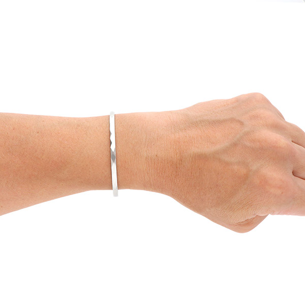 ステンレスペアバングル