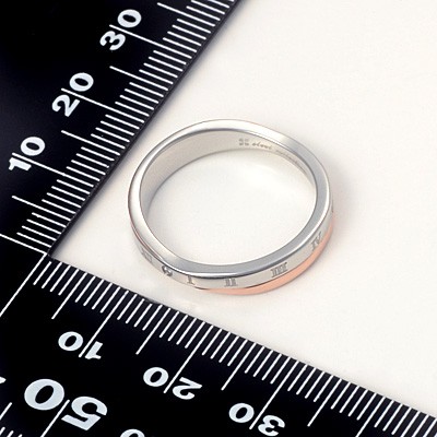 ステンレスリング