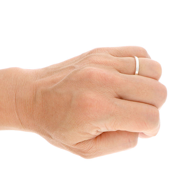 ステンレスペアリング