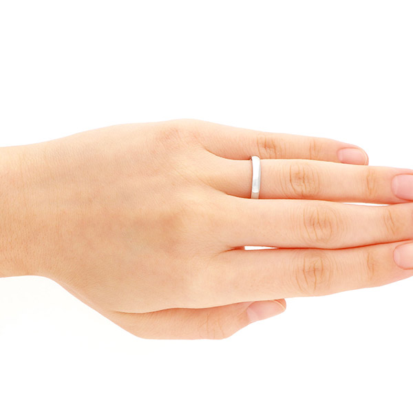 ステンレスペアリング