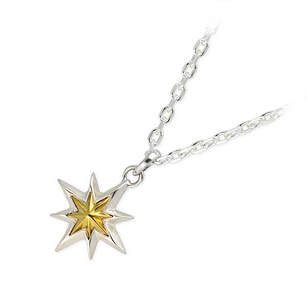 AQUA SILVER シルバーネックレス