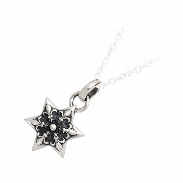 AQUA SILVER メンズ シルバーペンダントトップ ASP-421F