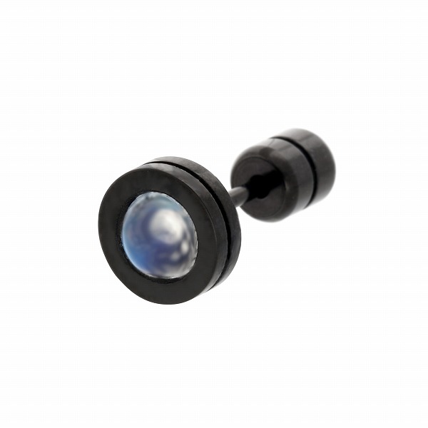 Disc ステンレスピアス