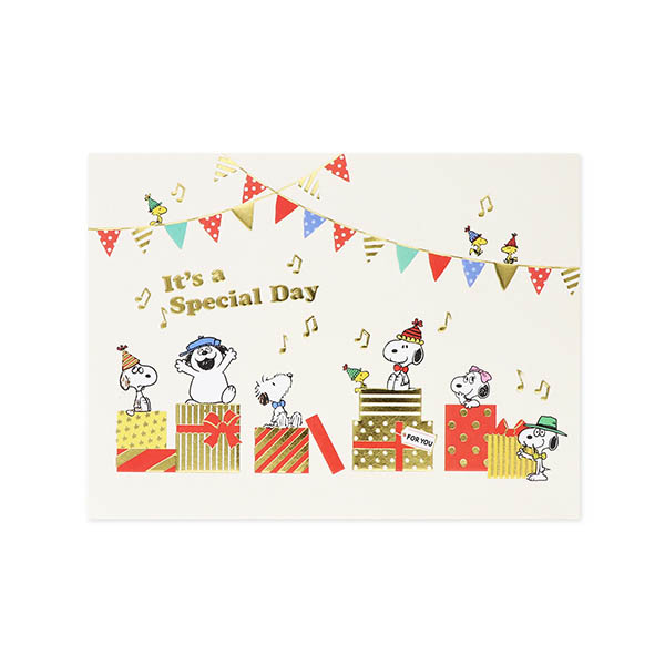 Hallmark メッセージカード　誕生日(スヌーピー・兄弟ボックス)