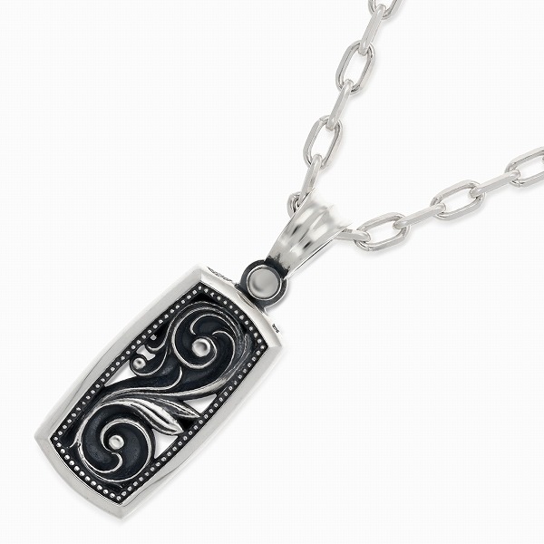 AQUA FORTIS シルバーネックレス