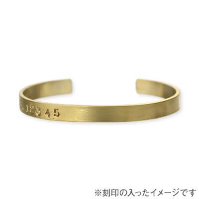 Magische Vissen バングル