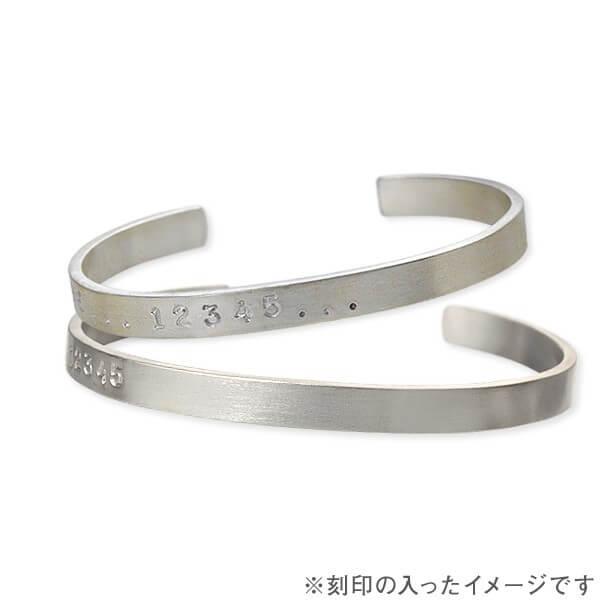 Magische Vissen シルバーペアバングル