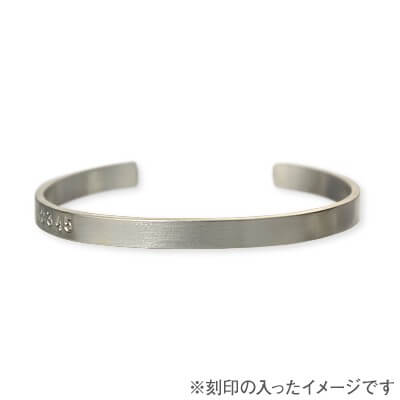 Magische Vissen バングル