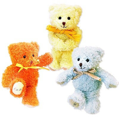 MeiMei 誕生日 メイメイ バースディテディベア