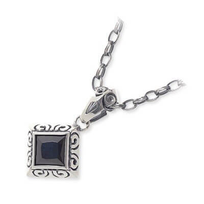 Magische Vissen シルバーネックレス