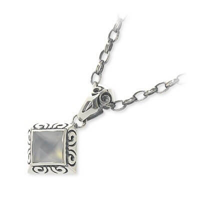 Magische Vissen シルバーネックレス