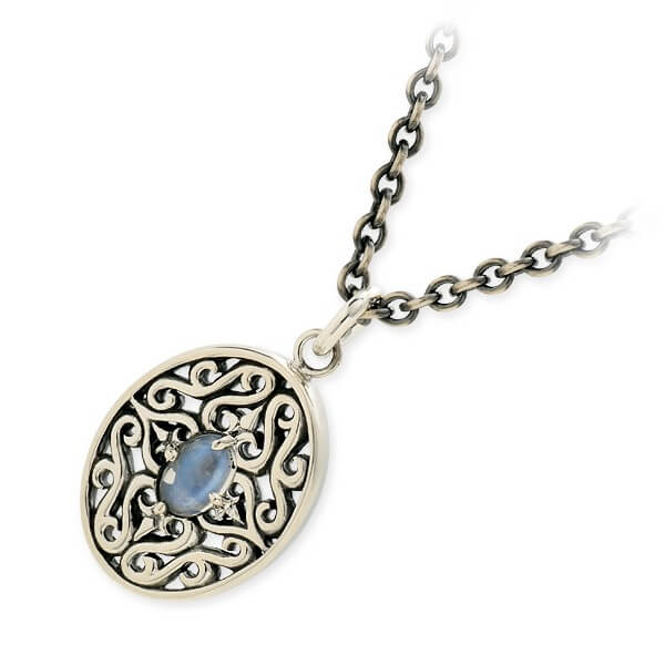 Magische Vissen シルバーネックレス