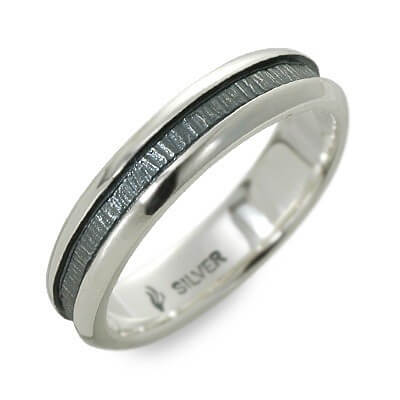 Magische Vissen シルバーリング