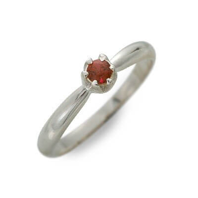 Magische Vissen シルバーリング