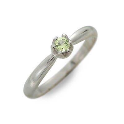 Magische Vissen シルバーリング