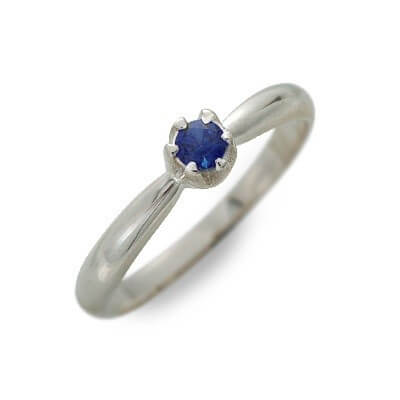 Magische Vissen シルバーリング