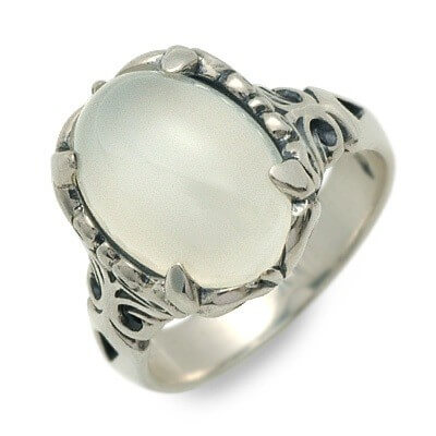 Magische Vissen シルバーリング