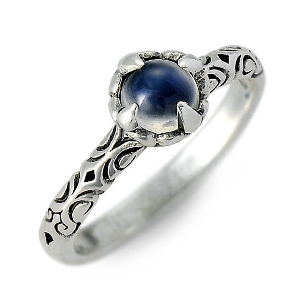 Magische Vissen シルバーリング