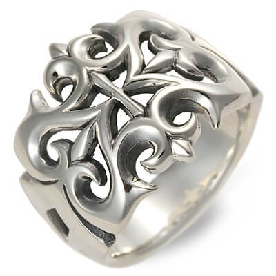 Magische Vissen シルバーリング