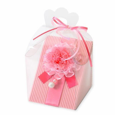 お花ソムリエ フラワー 母の日 プリザーブドフラワー カーネーション ピンク