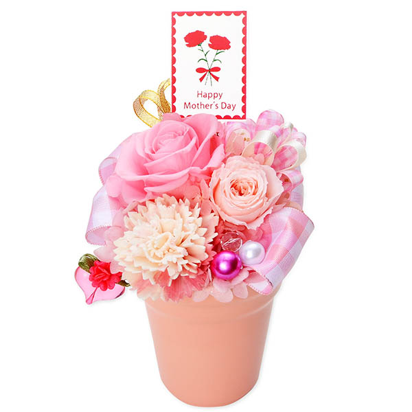 お花ソムリエ フラワー 母の日プリザーブドフラワー ギフト ピンク バラ カーネーション (ケース付)