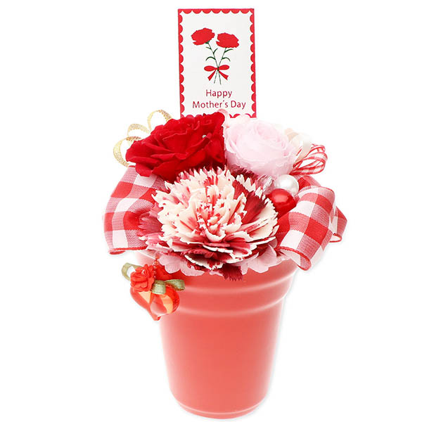 お花ソムリエ フラワー 母の日プリザーブドフラワーレッド(そのまま飾れるケース付き)