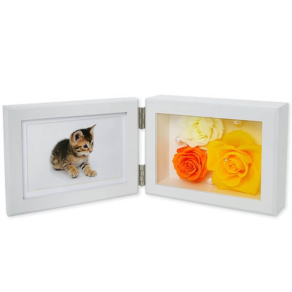 ジェイウェル プリザーブドフラワー フォトフレーム イエロー オレンジ