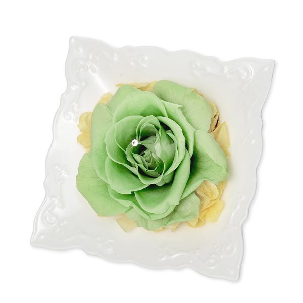 ジェイウェル お祝い ローズ プリザーブドフラワー グリーン