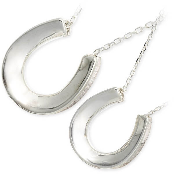 Blue Cat シルバーペアネックレス