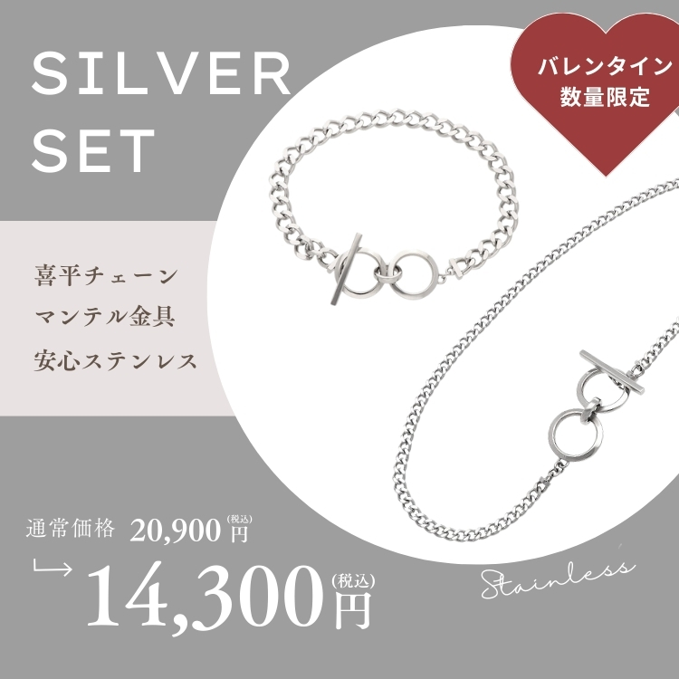 バレンタイン　ネックレス&ブレスレット　シルバー