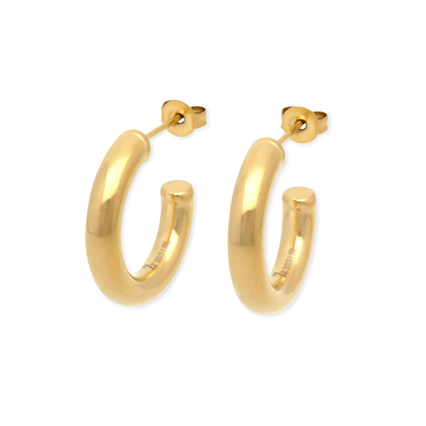 Zanipolo Terzini ステンレスピアス