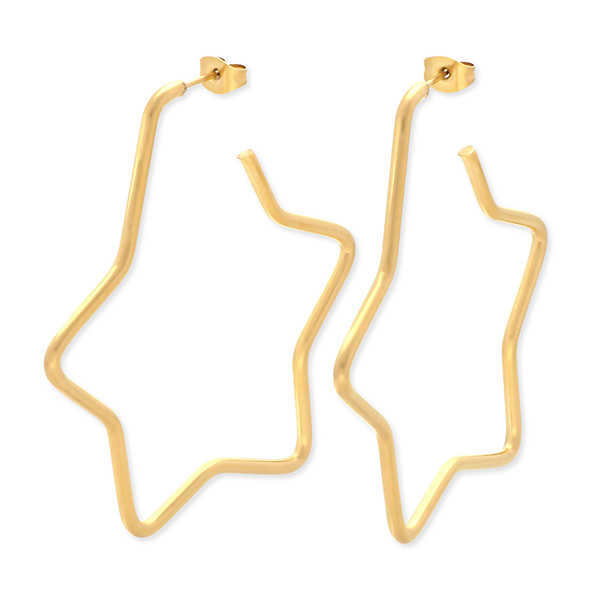 Zanipolo Terzini ステンレスピアス