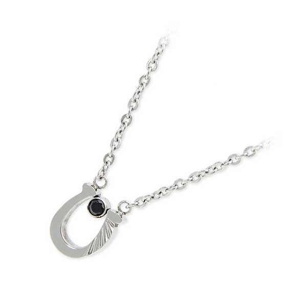 Zanipolo Terzini ステンレスネックレス