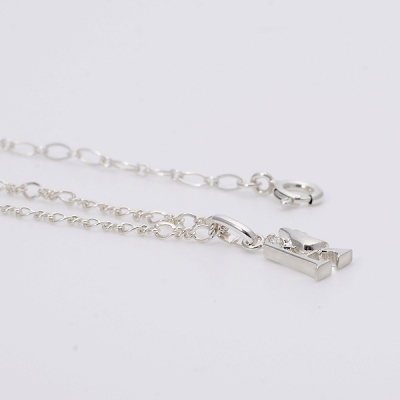 シルバーブレスレット兼アンクレット