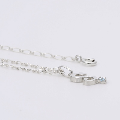 シルバーブレスレット兼アンクレット