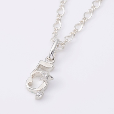 シルバーブレスレット兼アンクレット