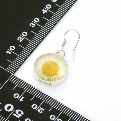 シルバーピアス