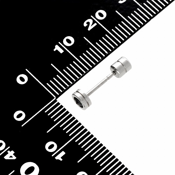 ステンレスピアス