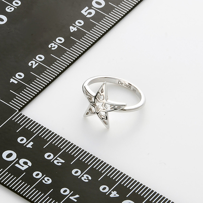 シルバーリング(11.0号)