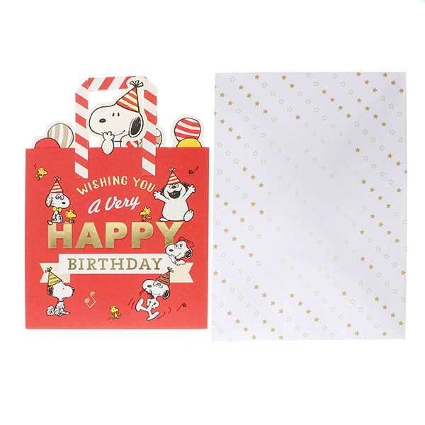 メッセージカード　誕生日(スヌーピー・兄弟バック)