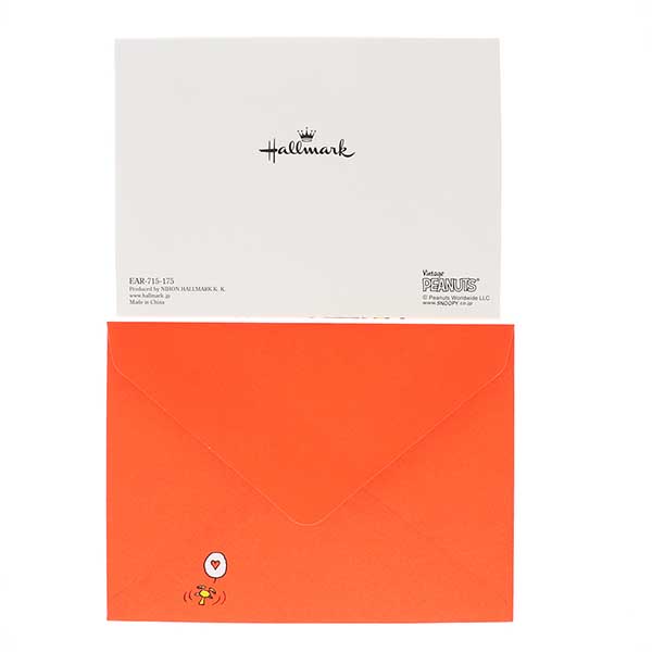 メッセージカード　多目的(スヌーピー・ハグチャーリー)