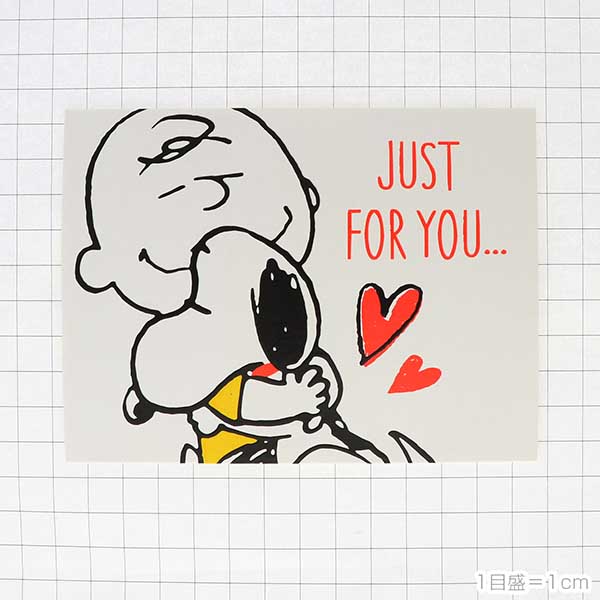 メッセージカード　多目的(スヌーピー・ハグチャーリー)