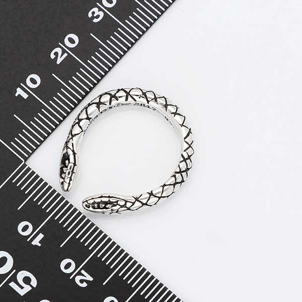 シルバーリング