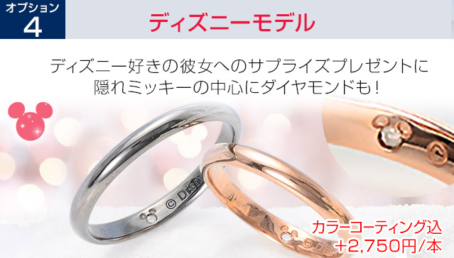 オプションディズニーモデル