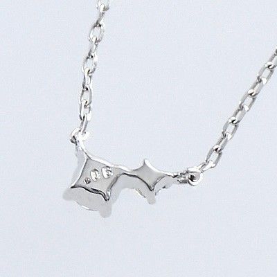 ホワイトゴールドネックレス